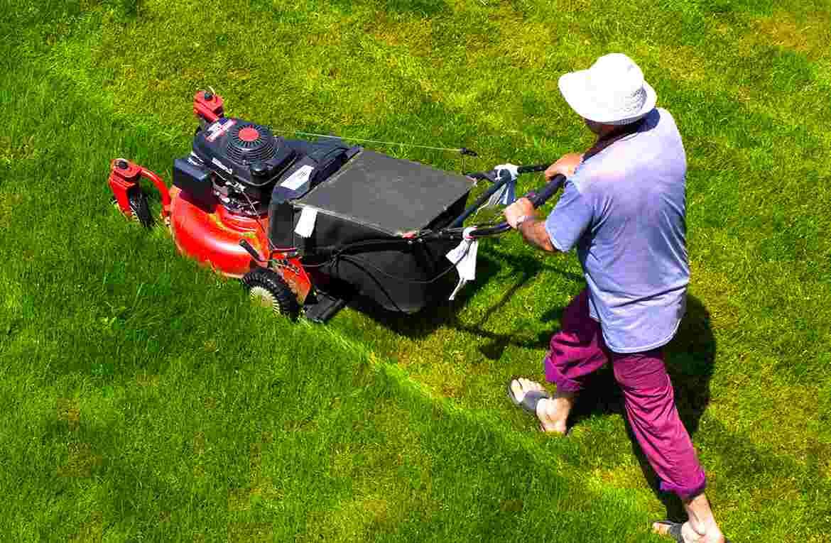 The walk-behind lawnmower for trimming…. – Collins Tree & Stump Service